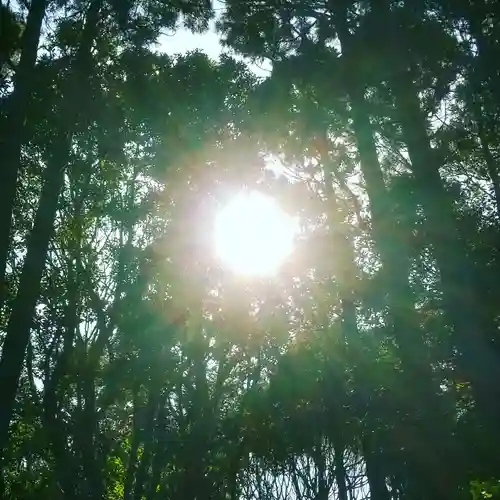 沼尾神社の自然