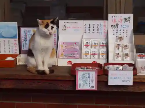 板倉雷電神社(群馬県)