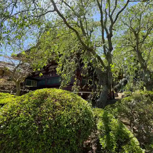 神野寺(千葉県)