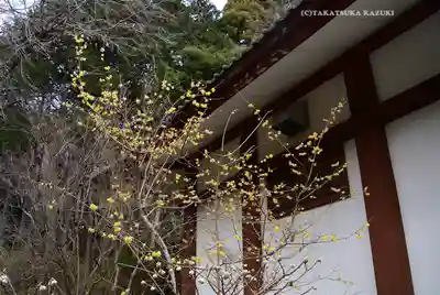 宝城坊(神奈川県)