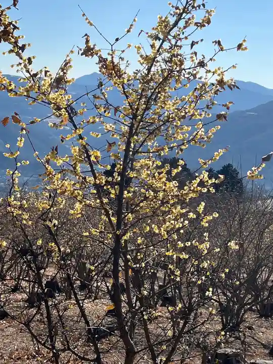 宝登山神社奥宮(埼玉県)