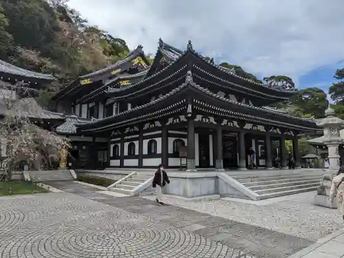 長谷寺(神奈川県)