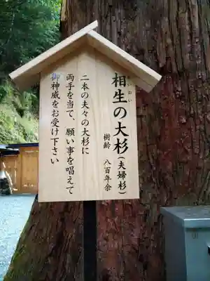 丹生川上神社（中社）(奈良県)