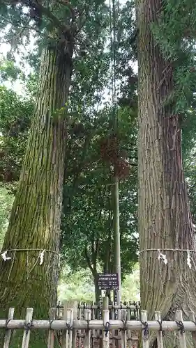 大田原神社の自然