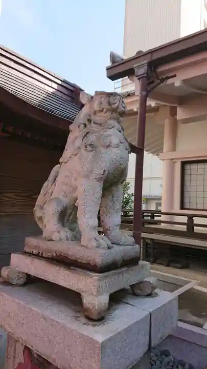 白山比咩神社の狛犬