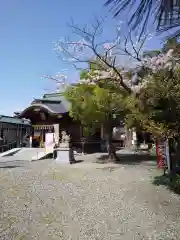 杉杜白髭神社の本殿