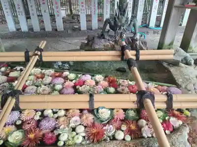 近江神宮(滋賀県)