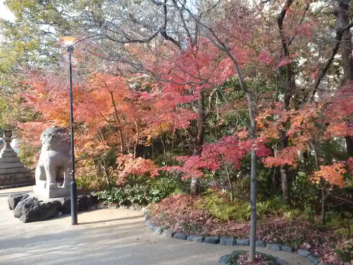 晴明神社の自然