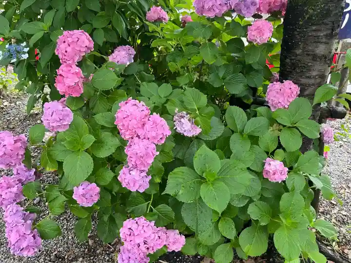 御裳神社(愛知県)