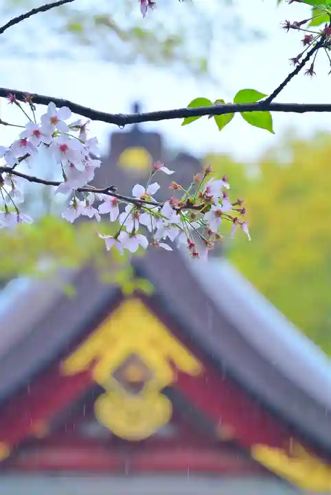 鶴岡八幡宮の自然