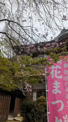 松ヶ崎大黒天 妙圓寺（妙円寺）(京都府)
