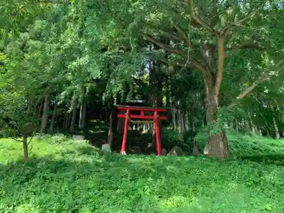鹿島神社の鳥居