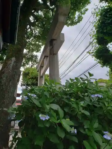 麻布氷川神社(東京都)