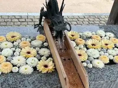 川越八幡宮(埼玉県)