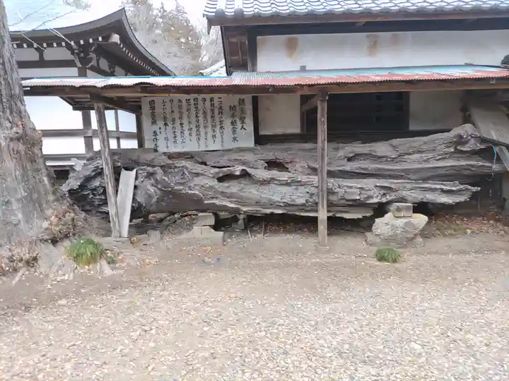 専修寺(栃木県)