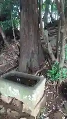 愛宕神社の手水