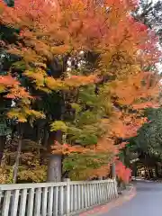 北口本宮冨士浅間神社の自然