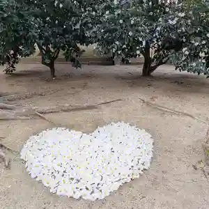 三津厳島神社(愛媛県)(2025年12月26日(金) 20時57分35秒投稿)