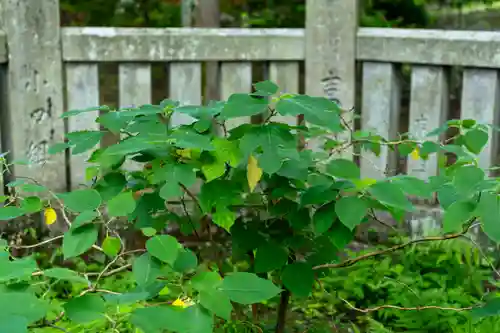諏訪大社上社前宮(長野県)