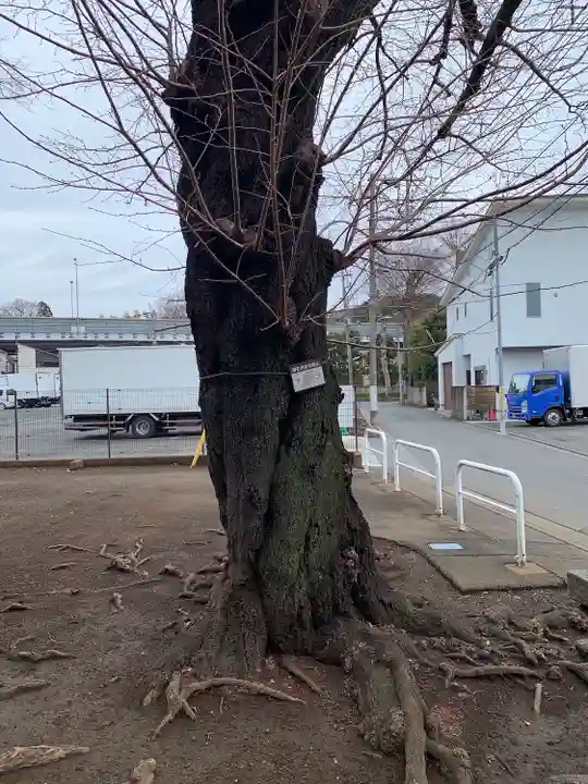 深大寺稲荷神社の自然