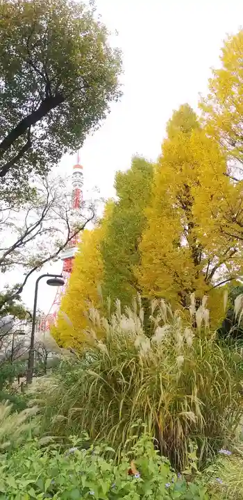 増上寺塔頭 三縁山 宝珠院の自然