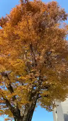 本能寺(京都府)