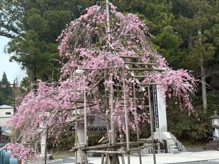 高野山金剛峯寺奥の院(和歌山県)