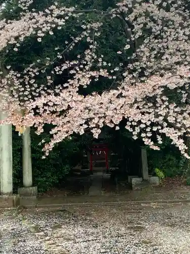 前玉神社(埼玉県)
