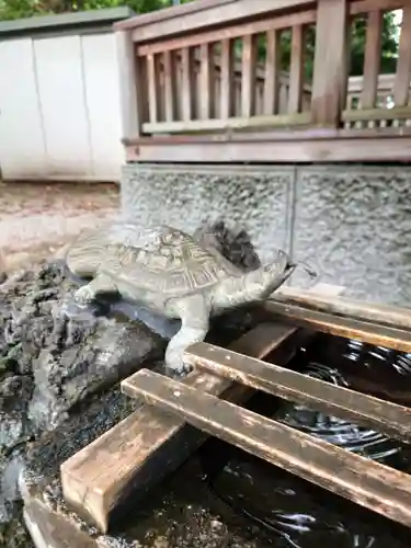 天祖神社（与野七福神　寿老神）の手水