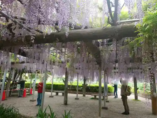 箭弓稲荷神社の{uncategorized: "未分類", other: "その他", undefined: "問題あり", building: "その他建物", grave: "お墓", sacred_gate: "鳥居", guardian: "狛犬", statue: "像", buddha: "仏像", history: "歴史", nature: "自然", garden: "庭園", animal: "動物", pagoda: "塔", temizu: "手水舎", mountain_gate: "山門・神門", sanctuary: "本殿・本堂", subordinate: "末社・摂社", art: "芸術", scenery: "景色", jizo: "地蔵", ema: "絵馬", goshuin: "御朱印", omikuji: "おみくじ", items: "授与品その他", amulet: "お守り", goshuincho: "御朱印帳", eats: "食事", festival: "お祭り", votive_dance: "神楽", shichigosan: "七五三参", wedding: "結婚式", experience: "体験その他", initially: "初詣", around: "周辺", anti_infection: "感染症対策"}