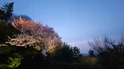 高台寺（高台寿聖禅寺・高臺寺）(京都府)