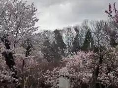 北海道神宮の自然