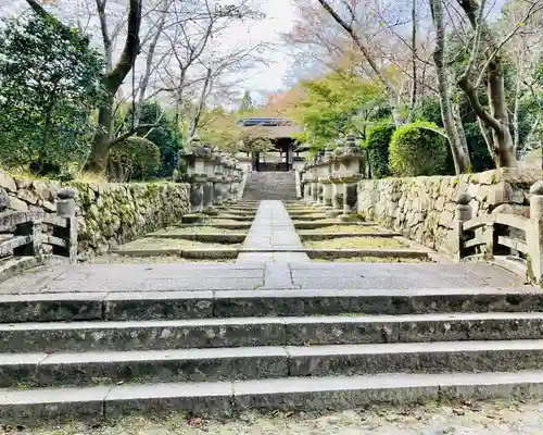 園城寺（三井寺）の建物その他