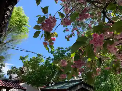 駒形神社の自然