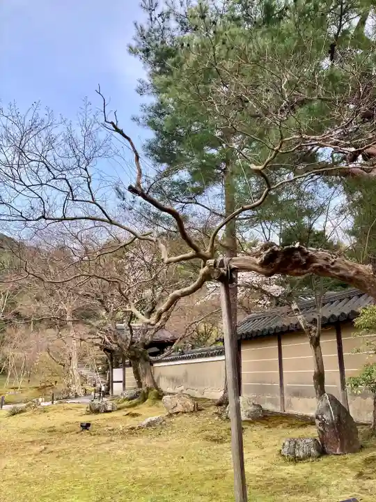 高台寺(高台寿聖禅寺・高臺寺)のその他建物