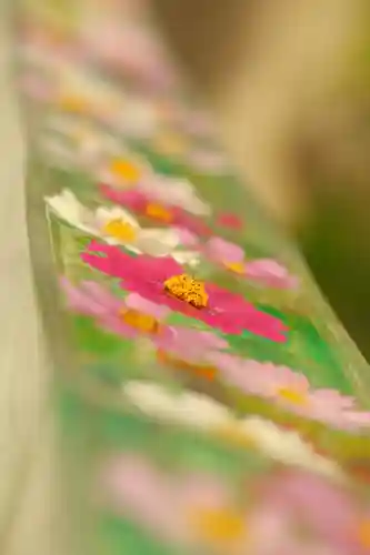 般若寺 ❁﻿コスモス寺❁(奈良県)