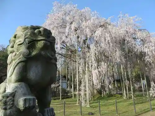 足羽神社の狛犬