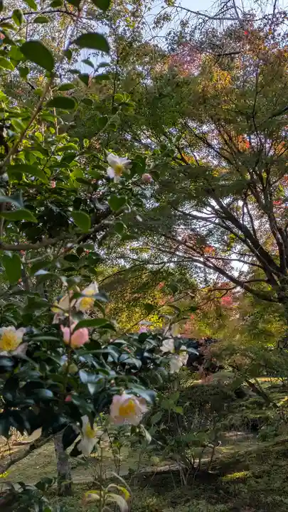 法金剛院(京都府)