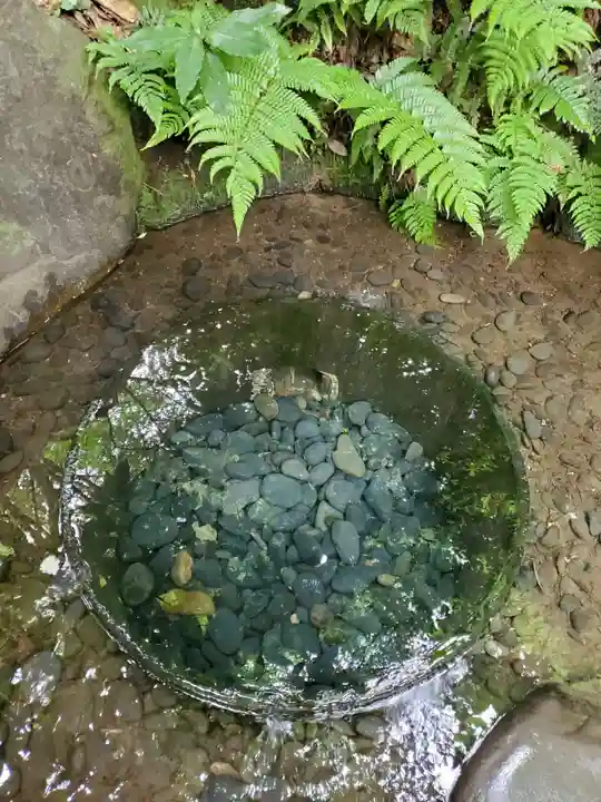 明治神宮(東京都)