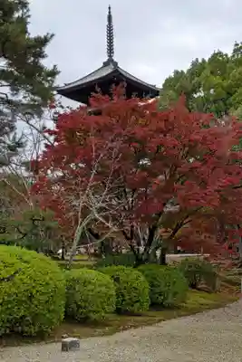 仁和寺(京都府)