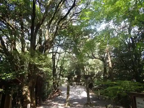 本宮神社（西寒多神社奥宮）の建物その他