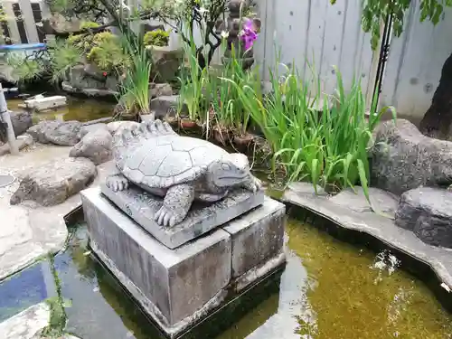 七尾神社の狛犬