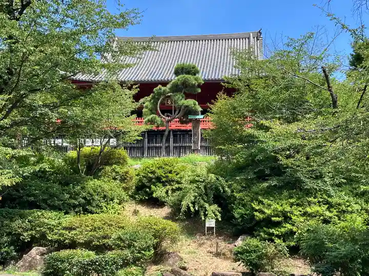 寛永寺(根本中堂)(東京都)