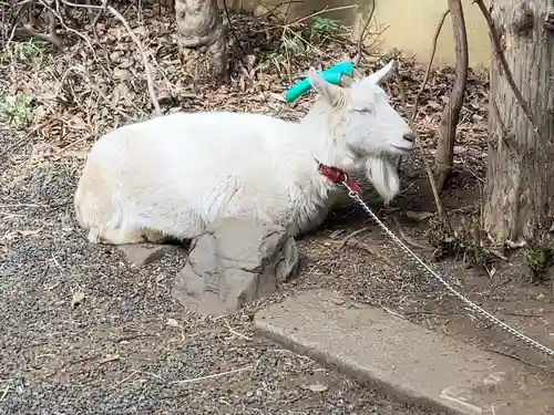 水稲荷神社(東京都)