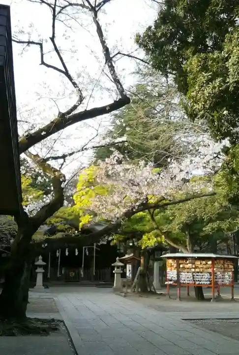 川口神社(埼玉県)
