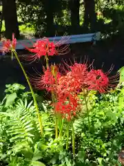 天宮神社の自然