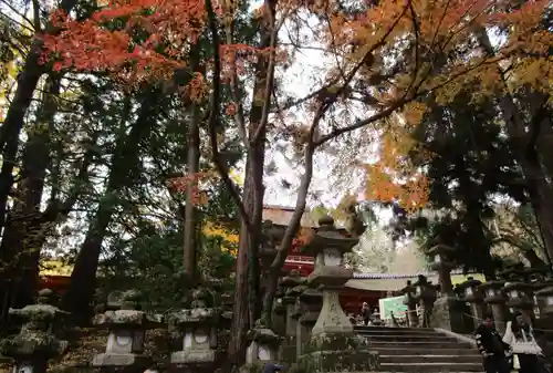 春日大社(奈良県)