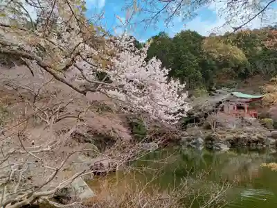 醍醐寺(京都府)