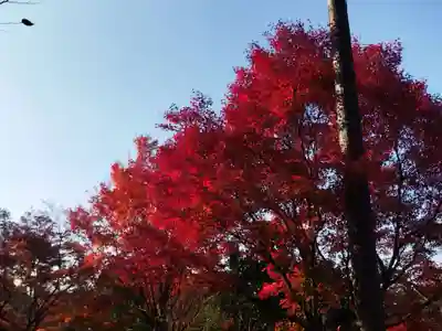 清水寺(京都府)