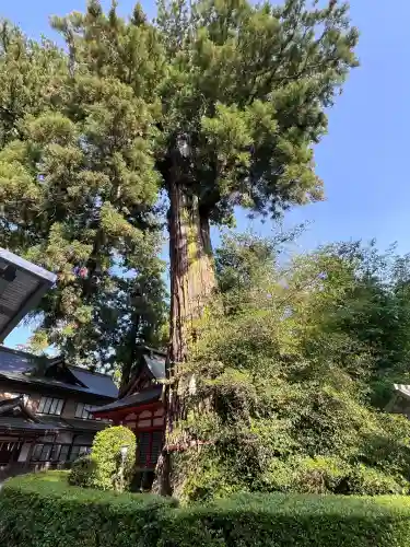 香取神宮(千葉県)